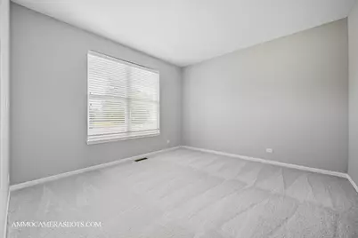 11565 Richmond Lane, Huntley, IL 60142 - Photo 9