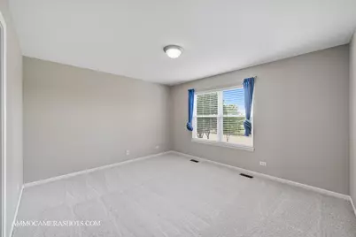 11565 Richmond Lane, Huntley, IL 60142 - Photo 41