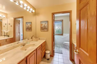 6 Steeplechase Drive, Hawthorn Woods, IL 60047 - Photo 37