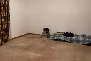 131 E 163rd St, South Holland, IL 60473 - Photo 13