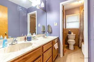 231 Fern Dr, Elk Grove Village, IL 60007 - Photo 19