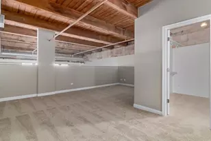 50 E 26th St, Chicago, IL 60616 - Photo 19