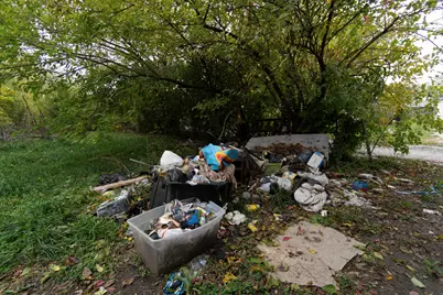 14826 Robey Avenue, Harvey, IL 60426 - Photo 49