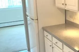 225 S Rohlwing Rd, Palatine, IL 60074 - Photo 5