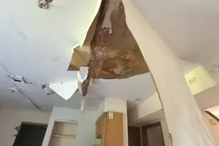 21746 Carol Ave, Sauk Village, IL 60411 - Photo 7