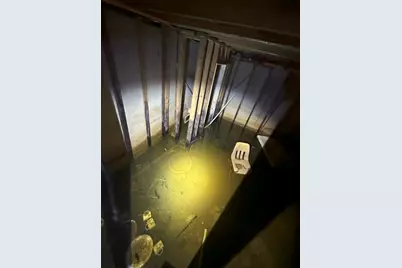 21746 Carol Avenue, Sauk Village, IL 60411 - Photo 19