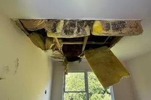 21746 Carol Ave, Sauk Village, IL 60411 - Photo 37