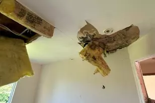 21746 Carol Ave, Sauk Village, IL 60411 - Photo 41