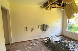 21746 Carol Ave, Sauk Village, IL 60411 - Photo 43