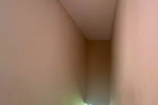 21746 Carol Ave, Sauk Village, IL 60411 - Photo 49