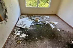 21746 Carol Ave, Sauk Village, IL 60411 - Photo 39