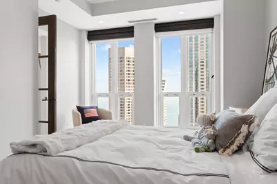 11 E Walton Street #4802, Chicago, IL 60611 - Photo 41