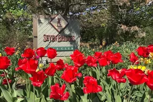 6420 Double Eagle Dr, Woodridge, IL 60517 - Photo 41