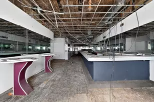 1114 W 51st St, Chicago, IL 60609 - Photo 13