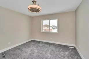 4996 Ribbon Dr, Monee, IL 60449 - Photo 21