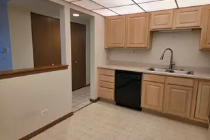 475 Plum Creek Dr, Wheeling, IL 60090 - Photo 17