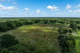 0 Banks Rd, Erie, IL 61250 - Photo 63