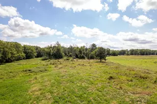 0 Banks Rd, Erie, IL 61250 - Photo 43