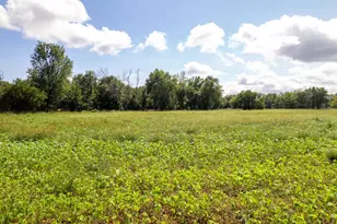 0 Banks Rd, Erie, IL 61250 - Photo 25