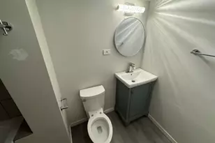 10117 S Perry Ave, Chicago, IL 60628 - Photo 29