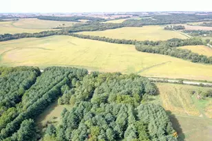 17278 Laube Rd, Davis, IL 61019 - Photo 73