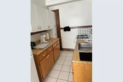 5480 S Cornell Avenue #TBD, Chicago, IL 60615 - Photo 11