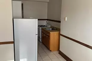 5480 S Cornell Ave, Chicago, IL 60615 - Photo 9