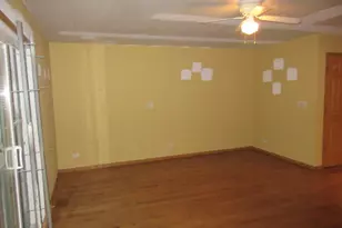 11761 S Vincennes Ave, Chicago, IL 60643 - Photo 9