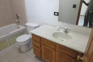 11761 S Vincennes Ave, Chicago, IL 60643 - Photo 15