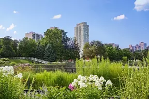 2020 N Lincoln Park W, Chicago, IL 60614 - Photo 51