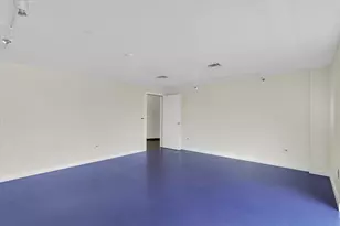 301 N Neil St, Champaign, IL 61820 - Photo 27