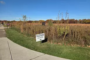 34 Logan Loop, Highland Park, IL 60035 - Photo 69