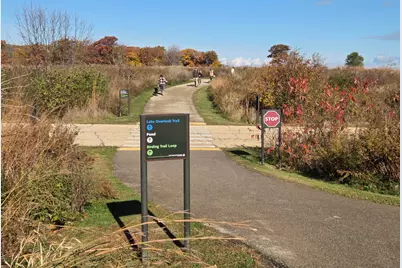 34 Logan Loop, Highland Park, IL 60035 - Photo 75