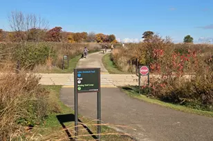 34 Logan Loop, Highland Park, IL 60035 - Photo 75