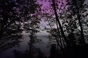 34 Logan Loop, Highland Park, IL 60035 - Photo 81