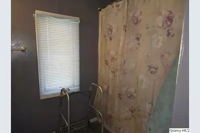 201 N Laurel St, Elvaston, IL 62334 - Photo 7