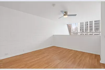 1531 N Sandburg Terrace, Chicago, IL 60610 - Photo 19