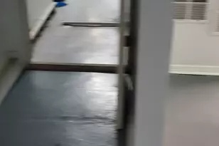 523 E 89th Pl, Chicago, IL 60619 - Photo 19