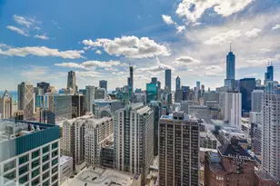 161 E Chicago Ave, Chicago, IL 60611 - Photo 21