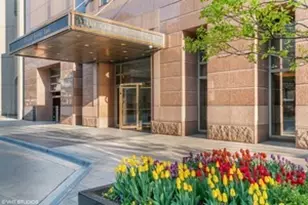 161 E Chicago Ave, Chicago, IL 60611 - Photo 1