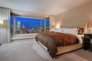 161 E Chicago Ave, Chicago, IL 60611 - Photo 15