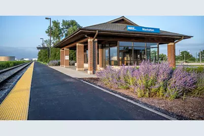 26010 S Rowena Drive, Manhattan, IL 60442 - Photo 49