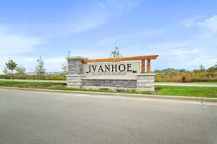 26010 S Rowena Dr, Manhattan, IL 60442 - Photo 47