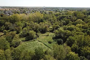 8N465 Shady Ln, Elgin, IL 60124 - Photo 31