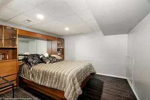 1705 Seward St, Roselle, IL 60172 - Photo 19