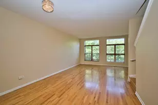 353 E Eastgate Pl, Chicago, IL 60616 - Photo 9
