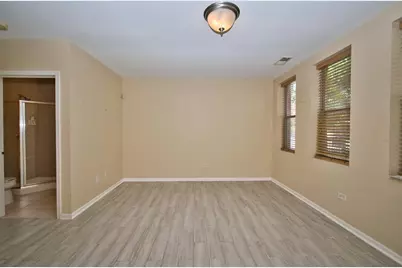 353 E Eastgate Place, Chicago, IL 60616 - Photo 5