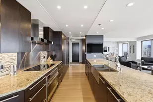 161 E Chicago Ave, Chicago, IL 60611 - Photo 13