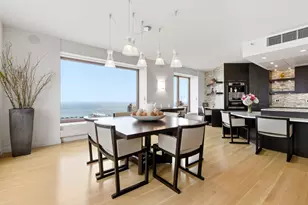 161 E Chicago Ave, Chicago, IL 60611 - Photo 17