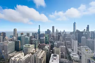 161 E Chicago Ave, Chicago, IL 60611 - Photo 9